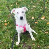 Муми, 6 месяцев. Москва.