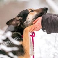 Елисея 5,5 лет. Раменское МО.